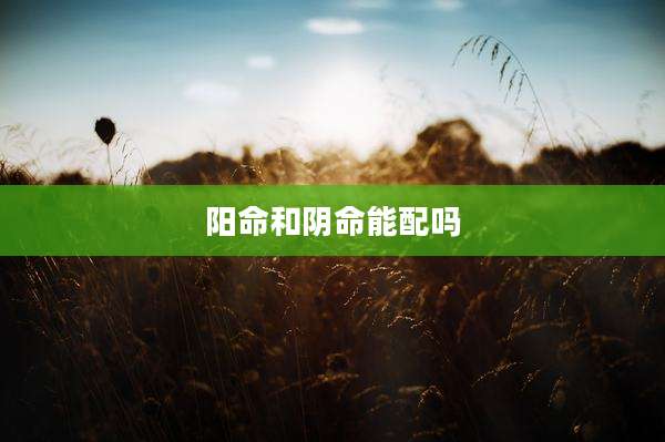阳命和阴命能配吗