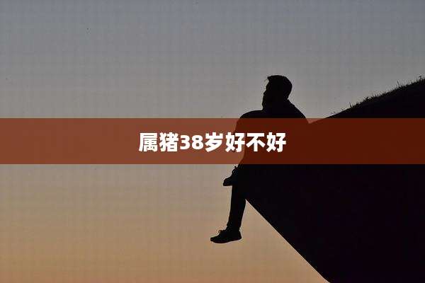 属猪38岁好不好