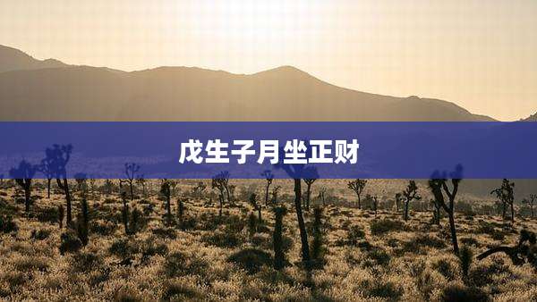戊生子月坐正财