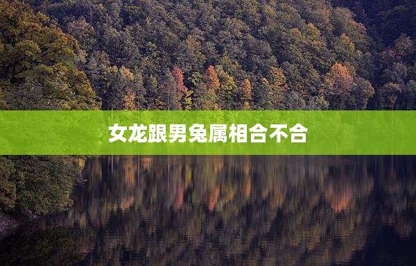 女龙跟男兔属相合不合