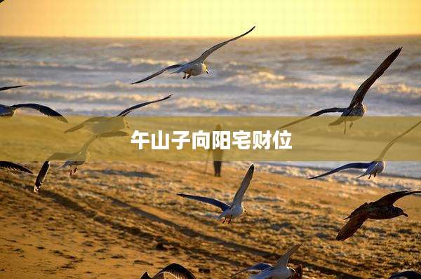 午山子向阳宅财位