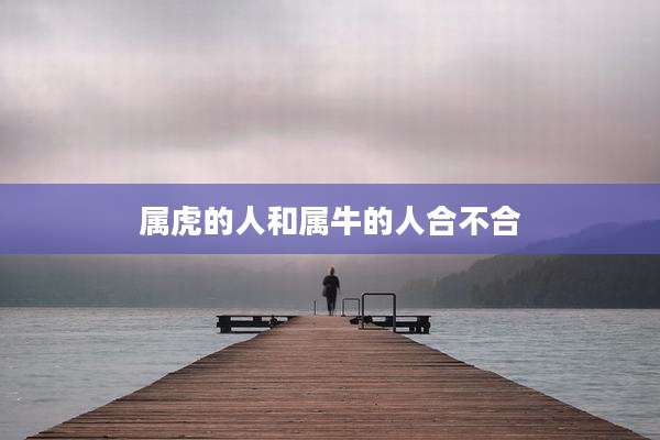 属虎的人和属牛的人合不合