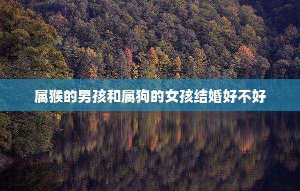 属猴的男孩和属狗的女孩结婚好不好