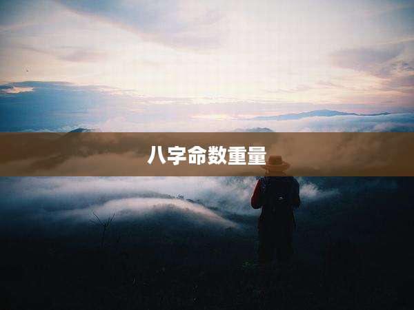 八字命数重量