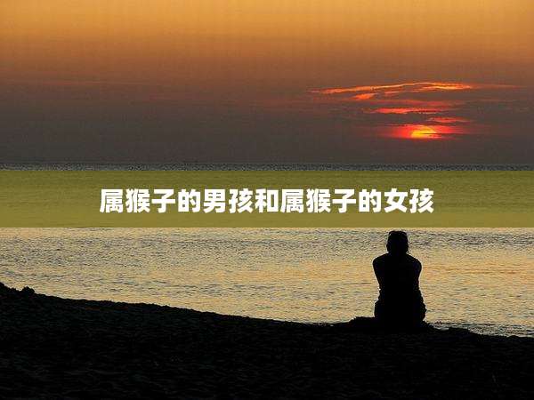 属猴子的男孩和属猴子的女孩