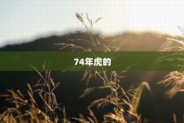 74年虎的