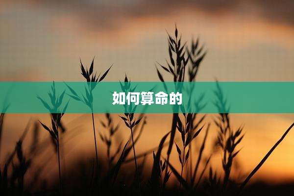 如何算命的