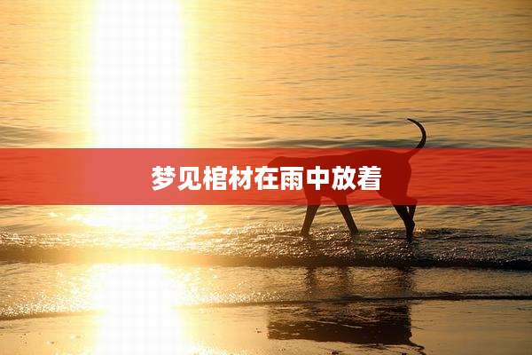 梦见棺材在雨中放着