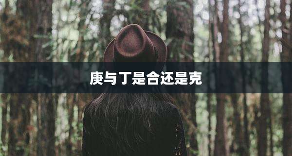 庚与丁是合还是克