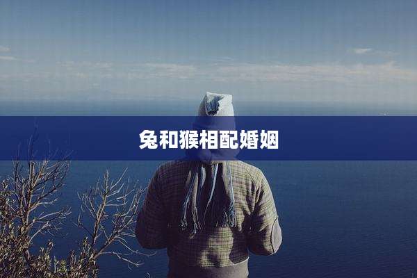 兔和猴相配婚姻