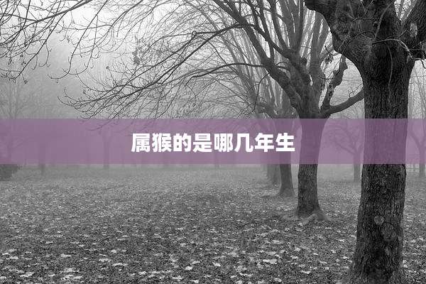 属猴的是哪几年生