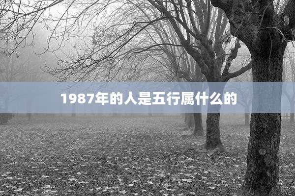 1987年的人是五行属什么的