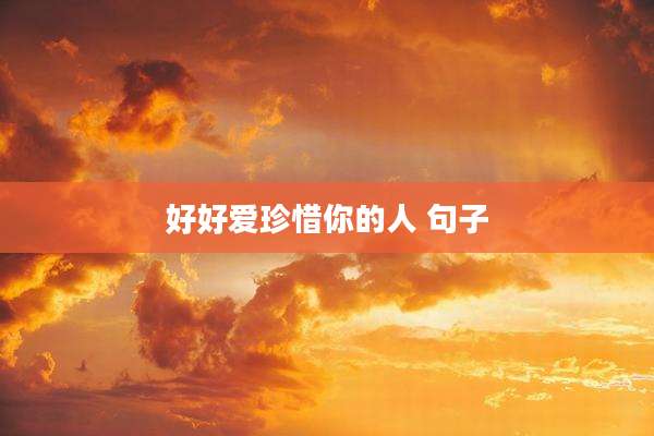 好好爱珍惜你的人 句子