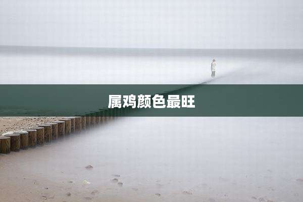 属鸡颜色最旺