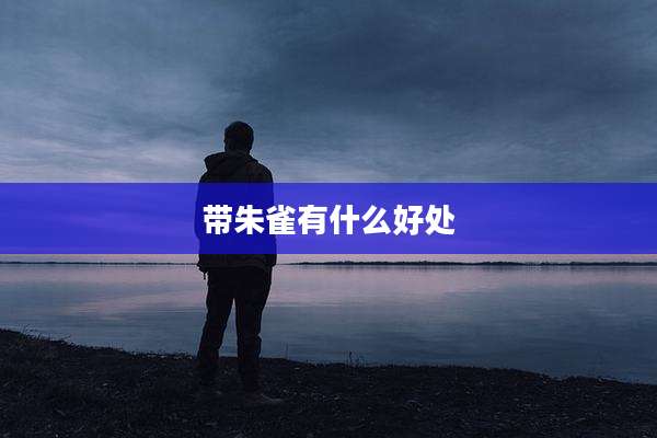 带朱雀有什么好处