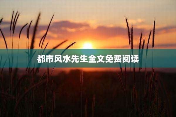 都市风水先生全文免费阅读