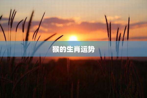 猴的生肖运势