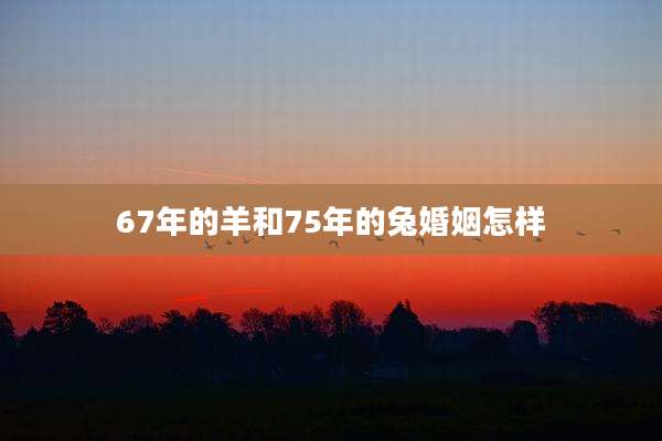 67年的羊和75年的兔婚姻怎样