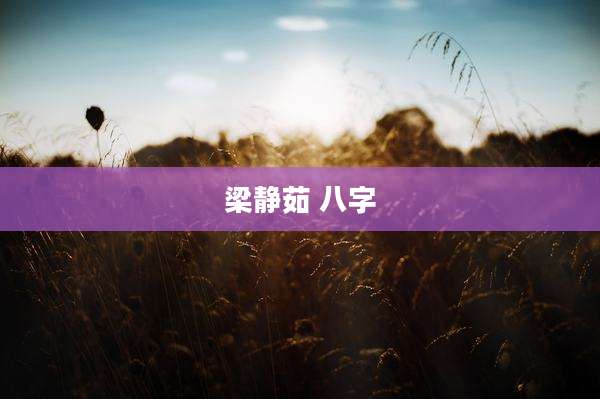 梁静茹 八字