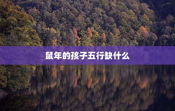 鼠年的孩子五行缺什么