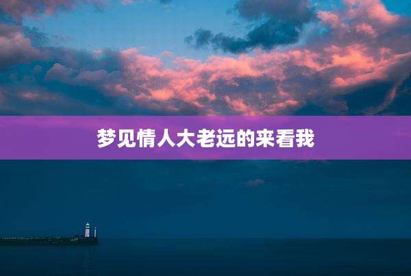 梦见情人大老远的来看我