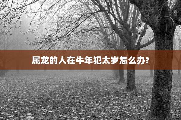 属龙的人在牛年犯太岁怎么办?