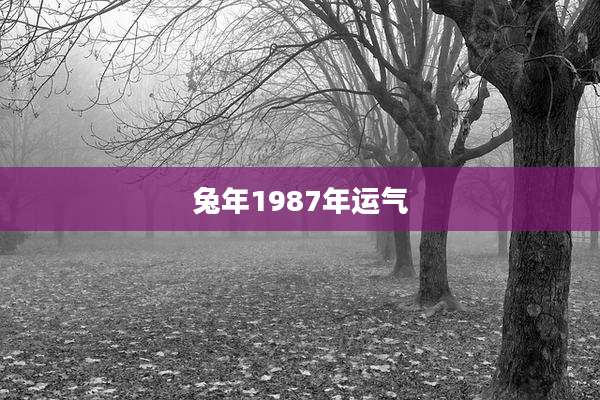 兔年1987年运气