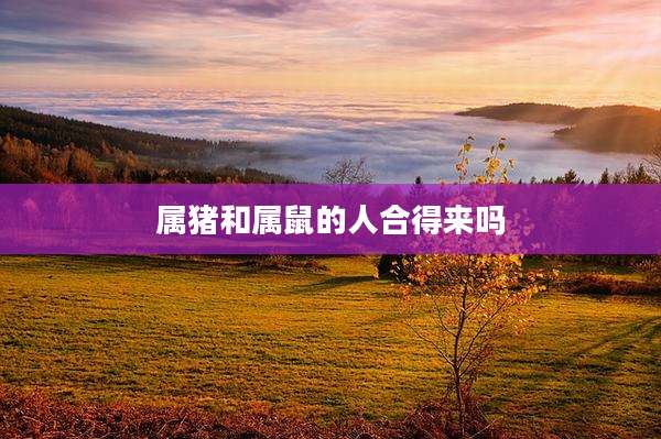 属猪和属鼠的人合得来吗