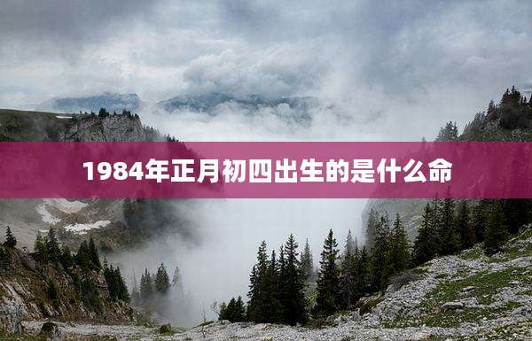 1984年正月初四出生的是什么命