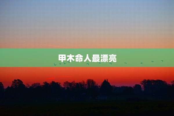 甲木命人最漂亮
