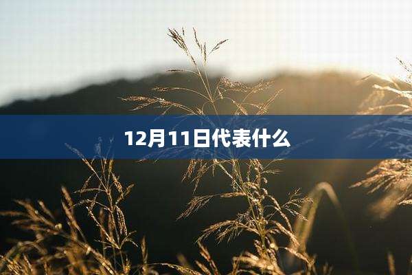 12月11日代表什么