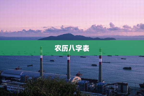 农历八字表