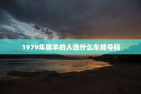 1979年属羊的人选什么车牌号码