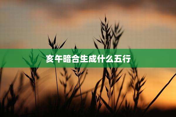 亥午暗合生成什么五行