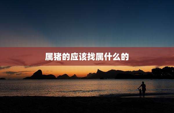 属猪的应该找属什么的