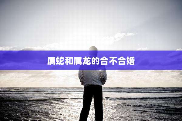 属蛇和属龙的合不合婚