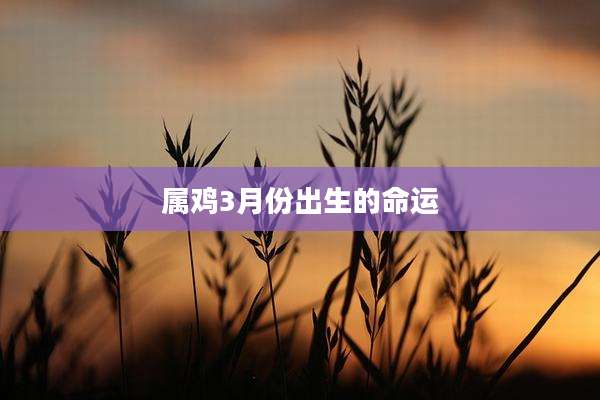 属鸡3月份出生的命运