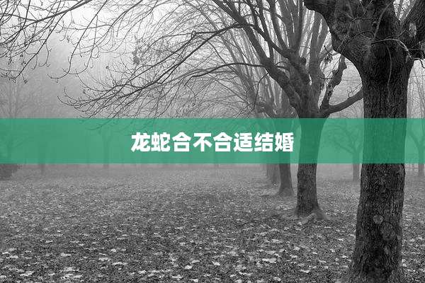 龙蛇合不合适结婚