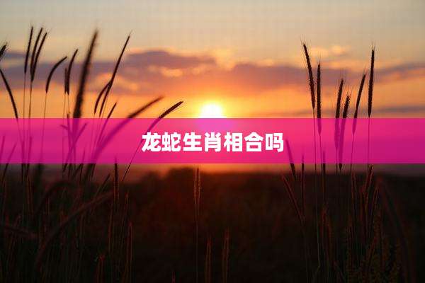 龙蛇生肖相合吗