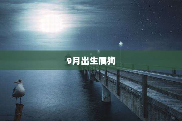 9月出生属狗