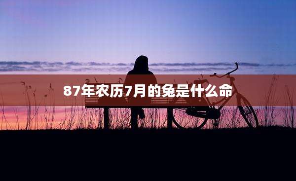 87年农历7月的兔是什么命