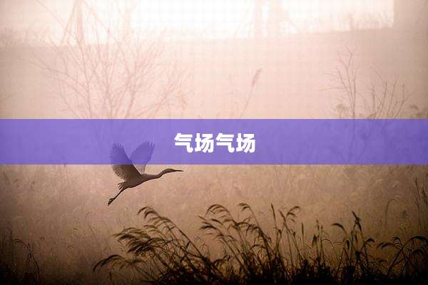 气场气场