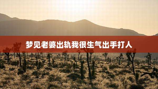 梦见老婆出轨我很生气出手打人