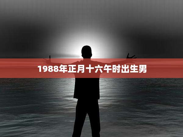 1988年正月十六午时出生男