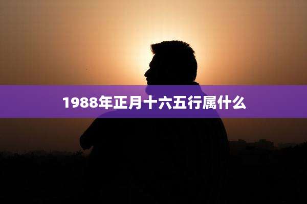 1988年正月十六五行属什么