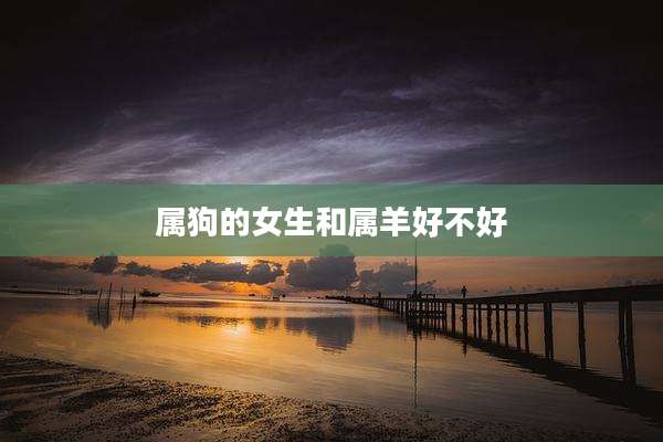 属狗的女生和属羊好不好