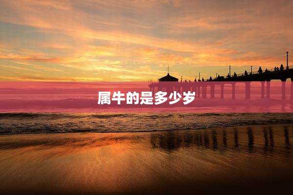 属牛的是多少岁