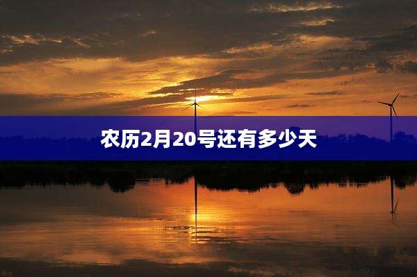 农历2月20号还有多少天