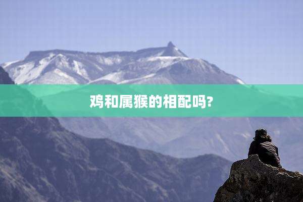 鸡和属猴的相配吗?