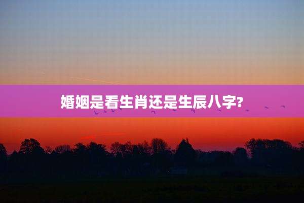 婚姻是看生肖还是生辰八字?